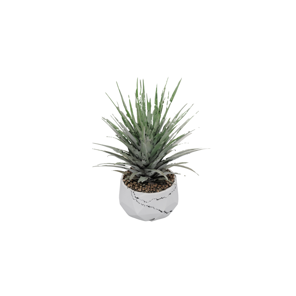 Holiday Air-Plant Holder