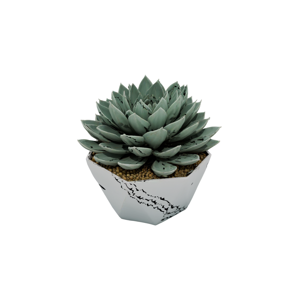 Holiday Modern Succulent Planter