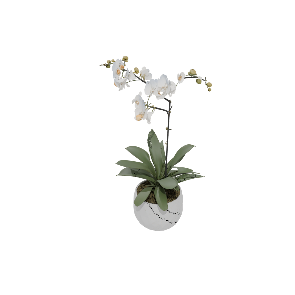 Holiday Orchid Pot With Drainage