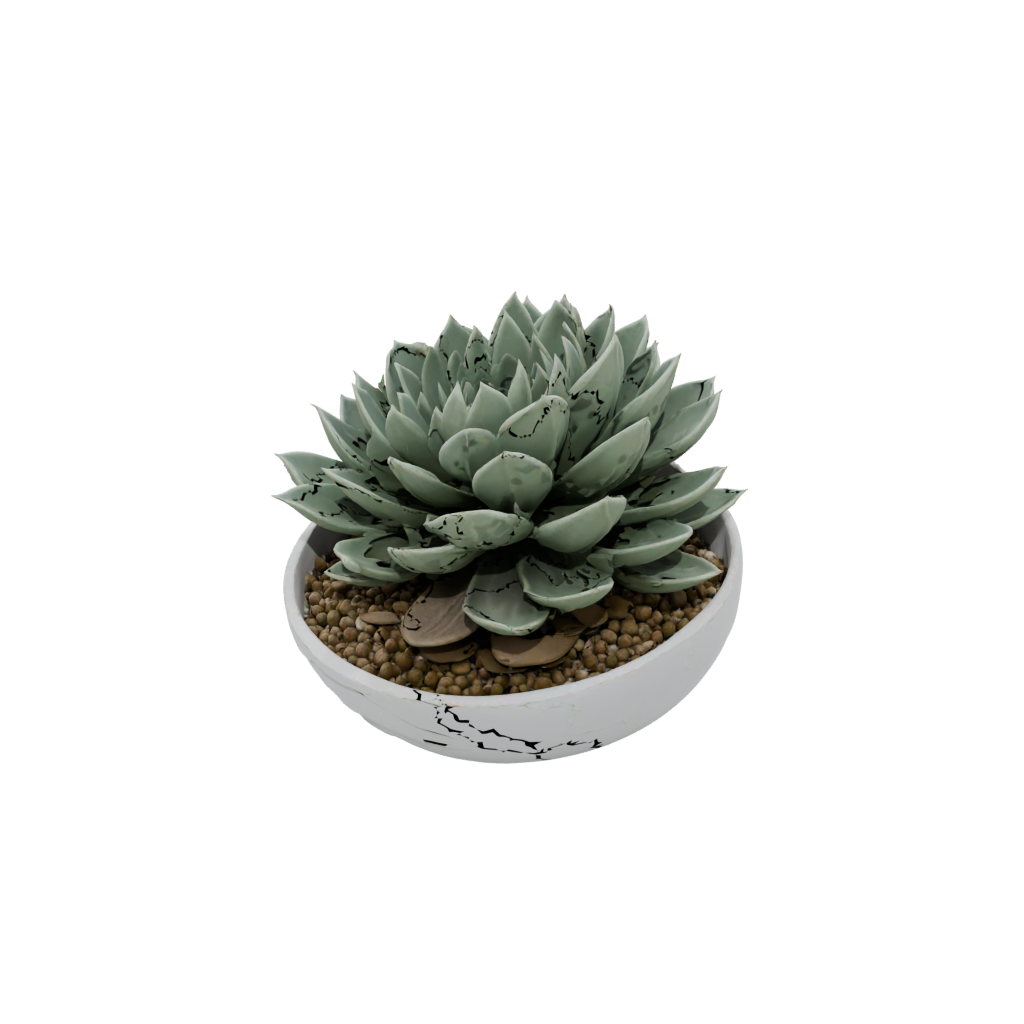 Holiday Organic Modern Succulent Planter
