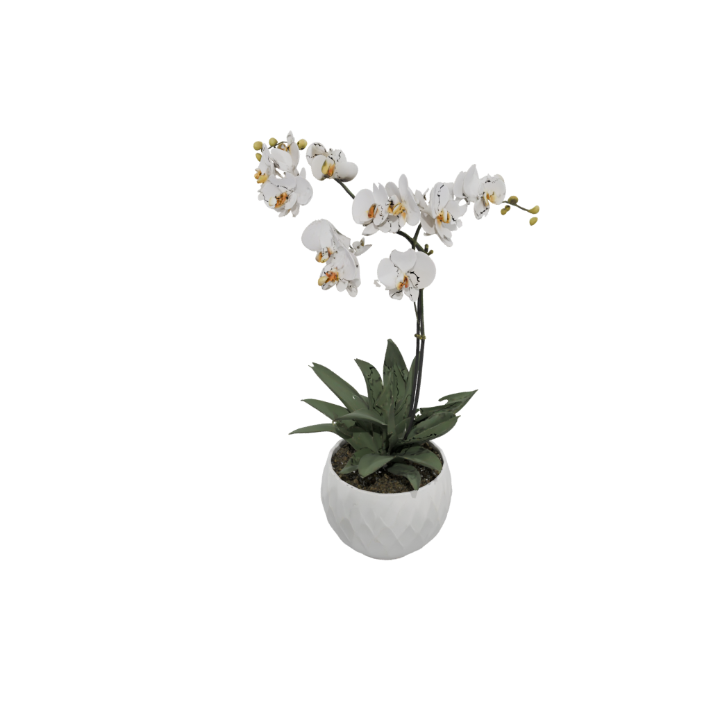 Holiday Organic Orchid Pot With Drainage