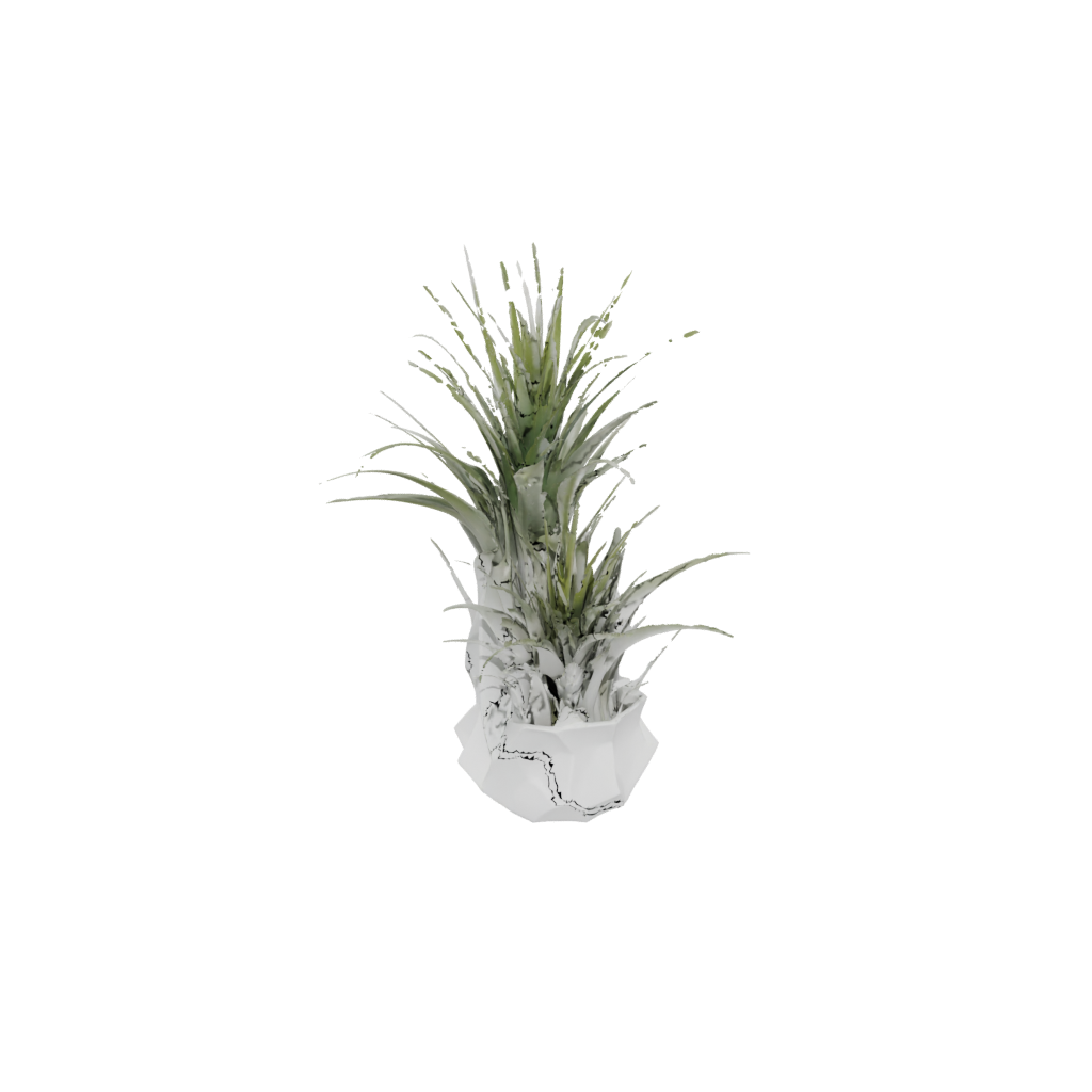 Jumbo Deco Air-Plant Holder