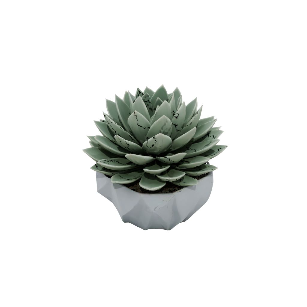Jumbo Deco Modern Succulent Planter