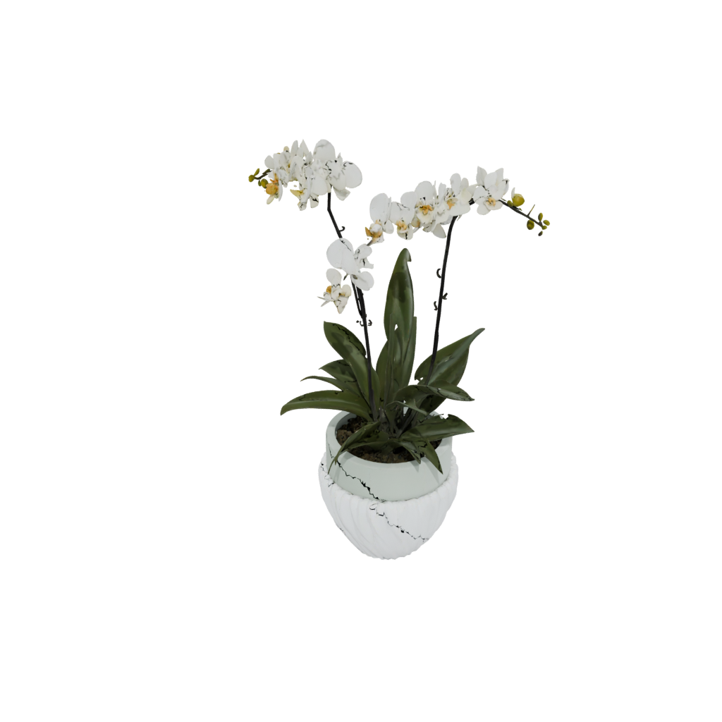 Jumbo Deco Orchid Pot With Drainage