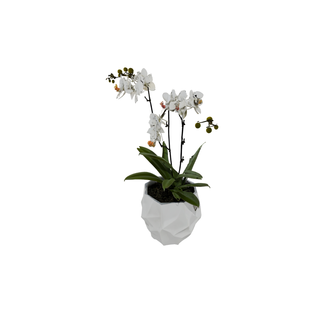 Jumbo Geometric Orchid Pot With Drainage — home decor 3D print model, STL