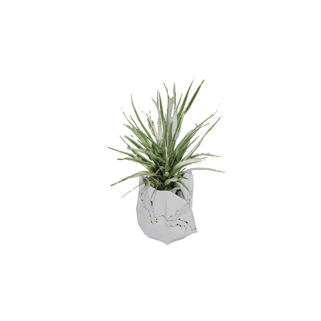 Jumbo Air-Plant Holder