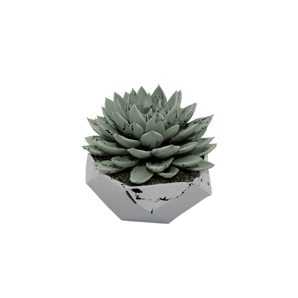 Jumbo Modern Succulent Planter