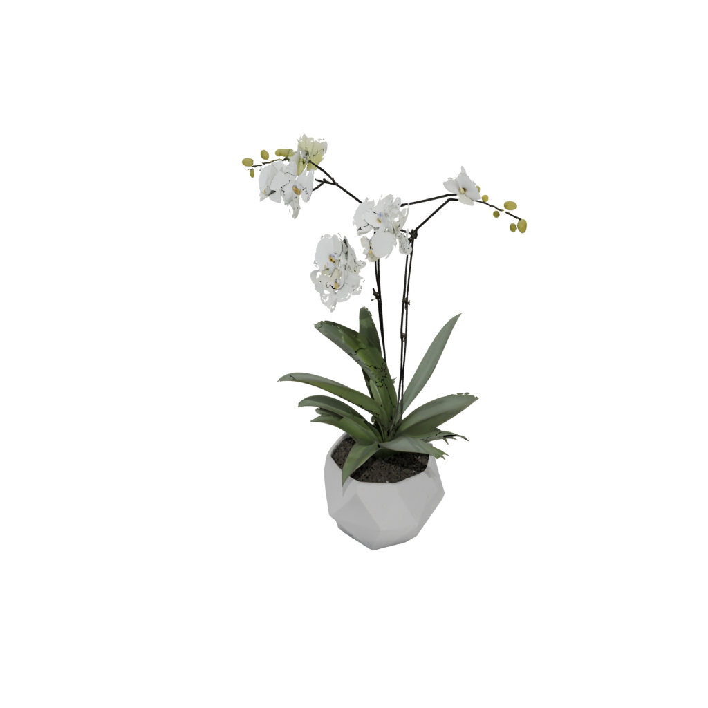 Jumbo Orchid Pot With Drainage
