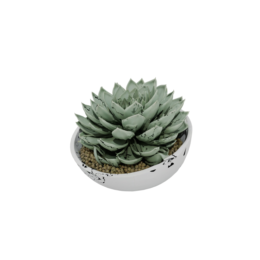 Jumbo Organic Modern Succulent Planter
