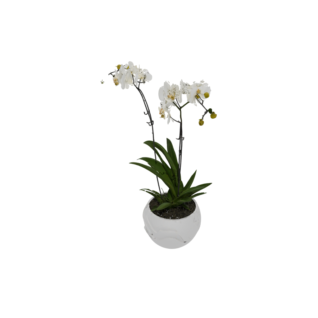 Jumbo Organic Orchid Pot With Drainage