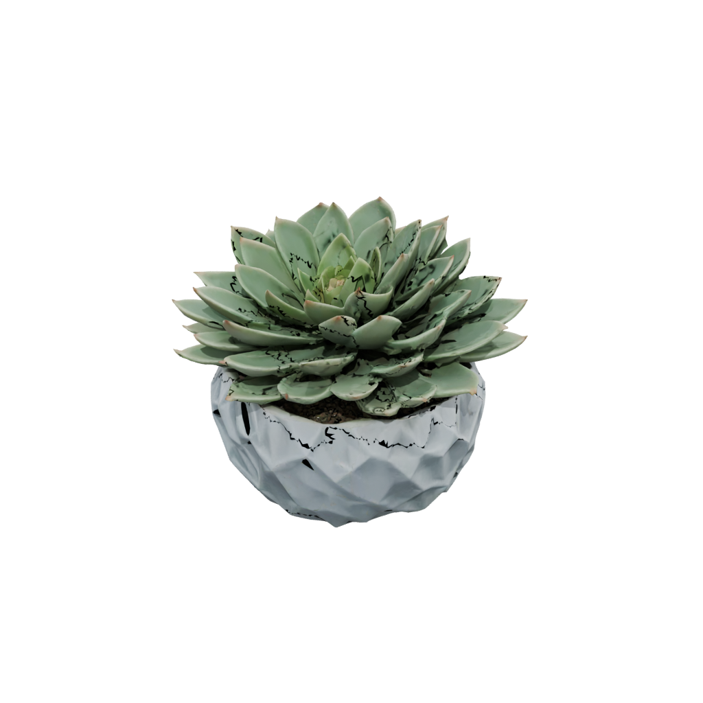 Jumbo Rustic Modern Succulent Planter