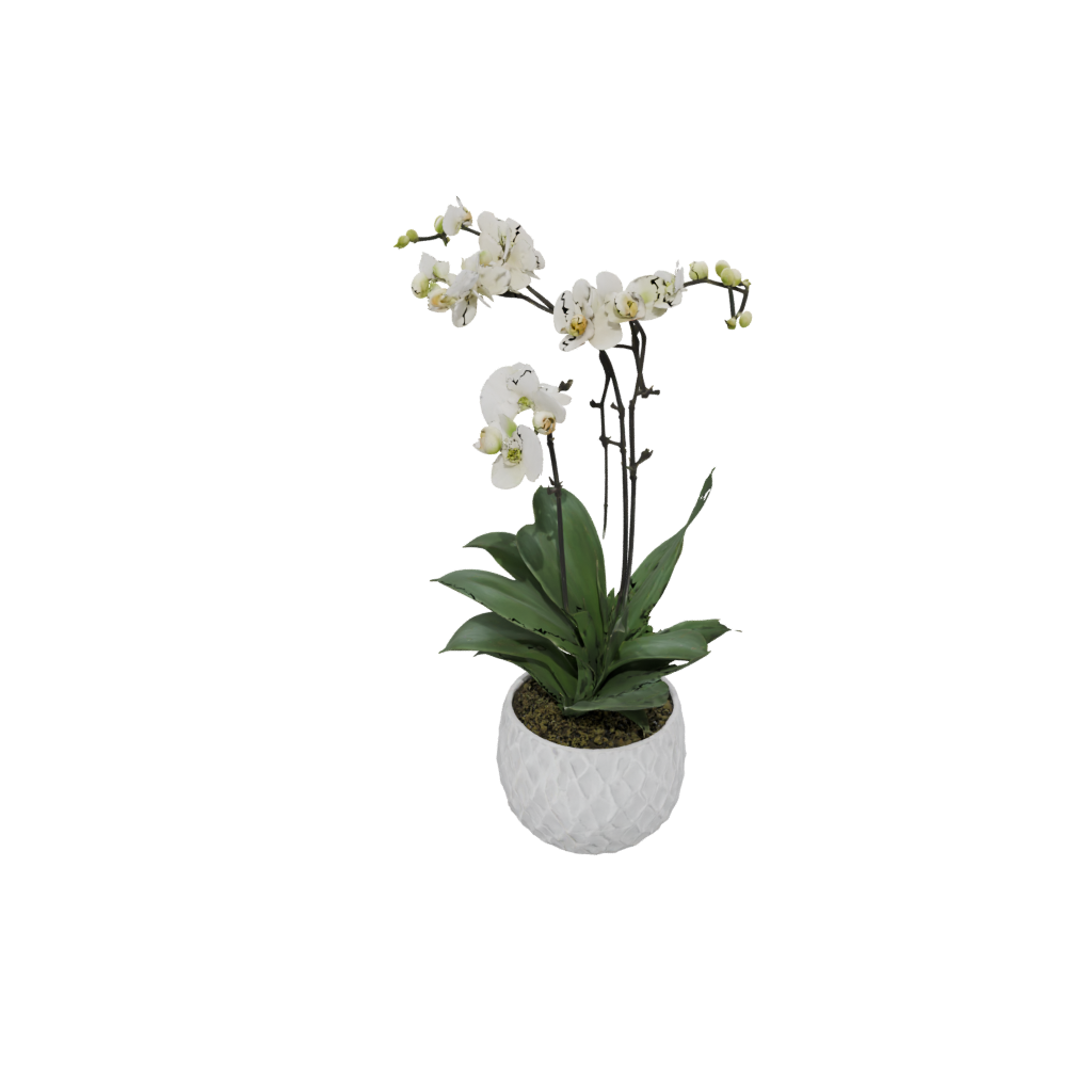 Jumbo Rustic Orchid Pot With Drainage