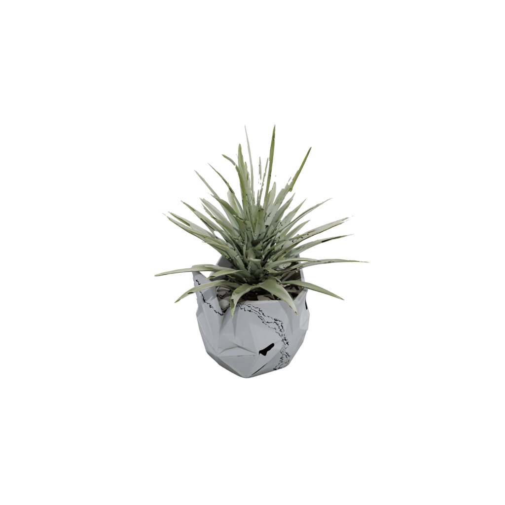 Low-Poly Deco Air-Plant Holder