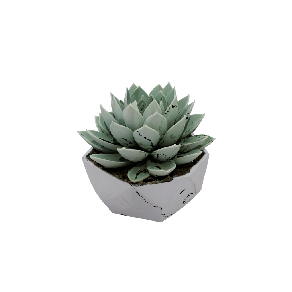 Low-Poly Deco Modern Succulent Planter