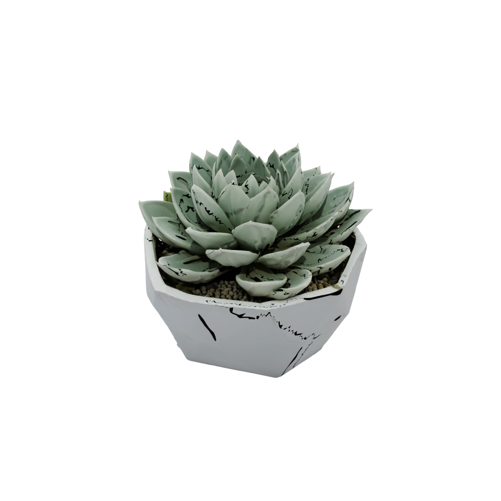 Low-Poly Organic Modern Succulent Planter