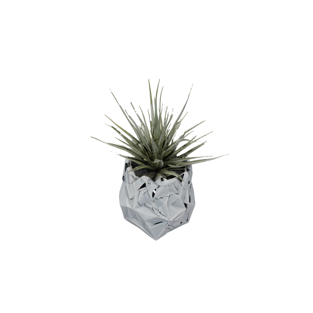 Low-Poly Rustic Air-Plant Holder