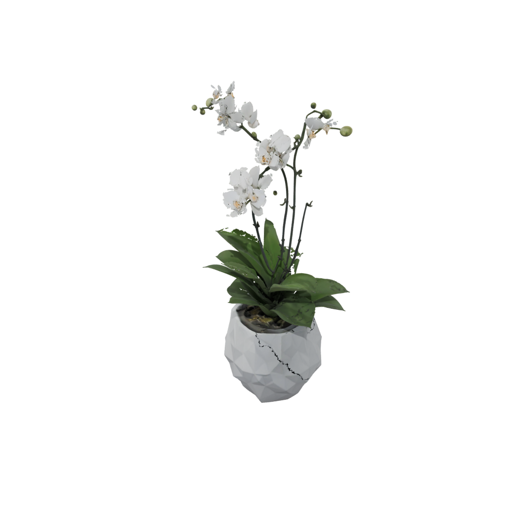 Low-Poly Rustic Orchid Pot With Drainage