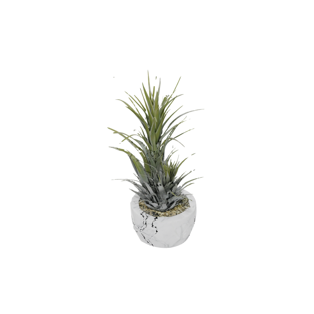 Marble Deco Air-Plant Holder
