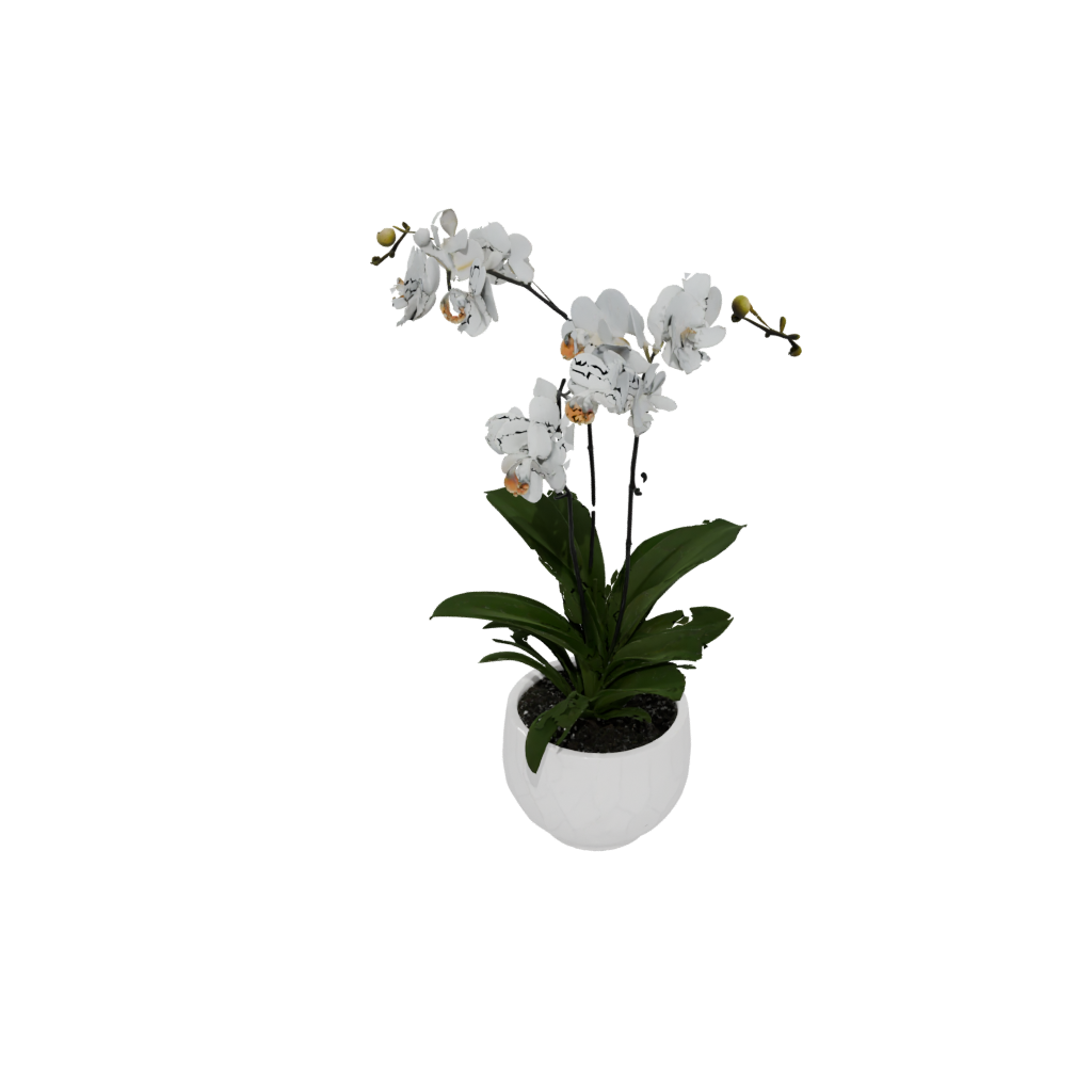 Marble Deco Orchid Pot With Drainage