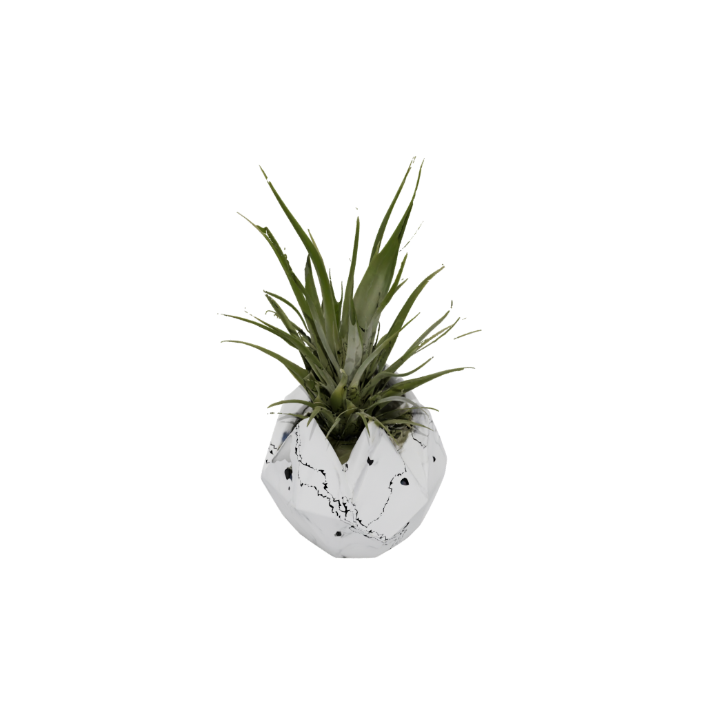 Marble Geometric Air-Plant Holder