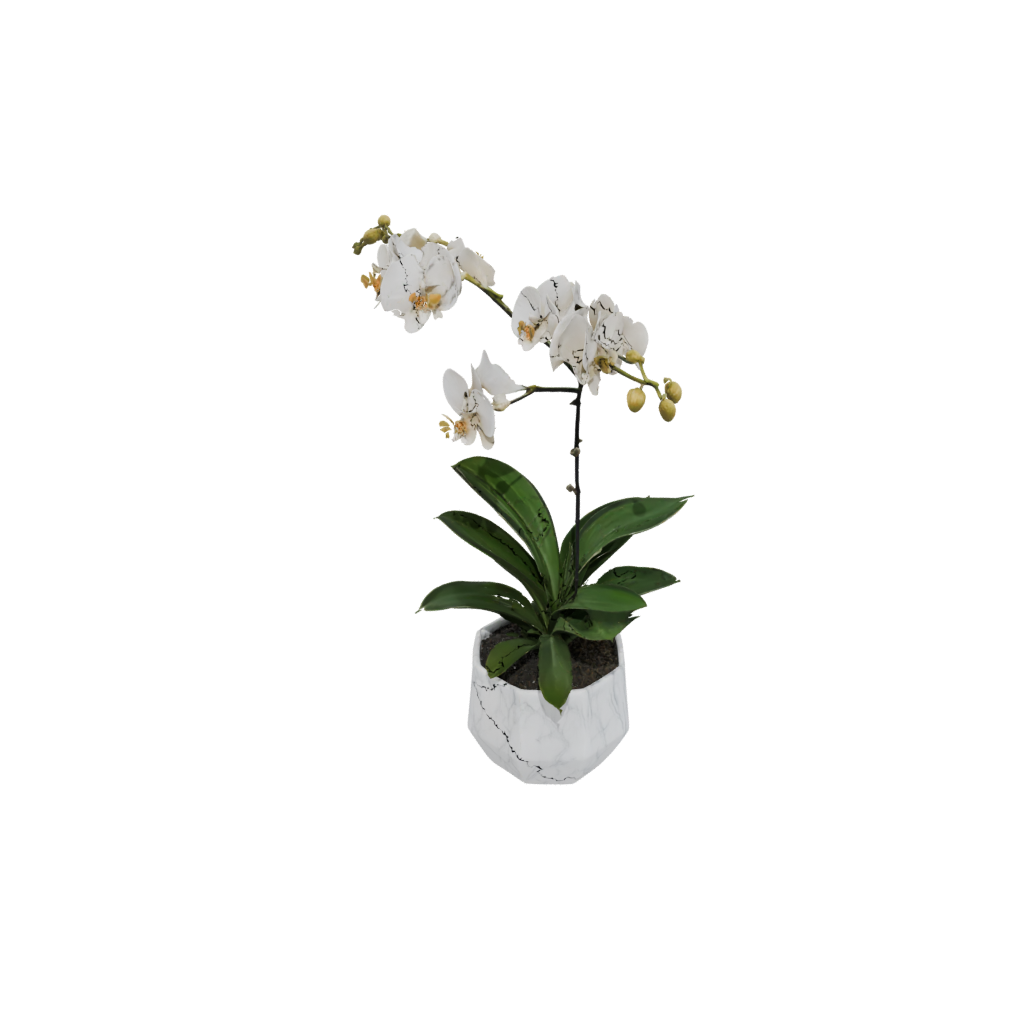 Marble Geometric Orchid Pot With Drainage
