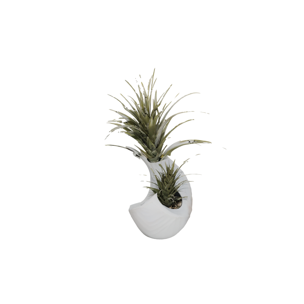 Marble Organic Air-Plant Holder