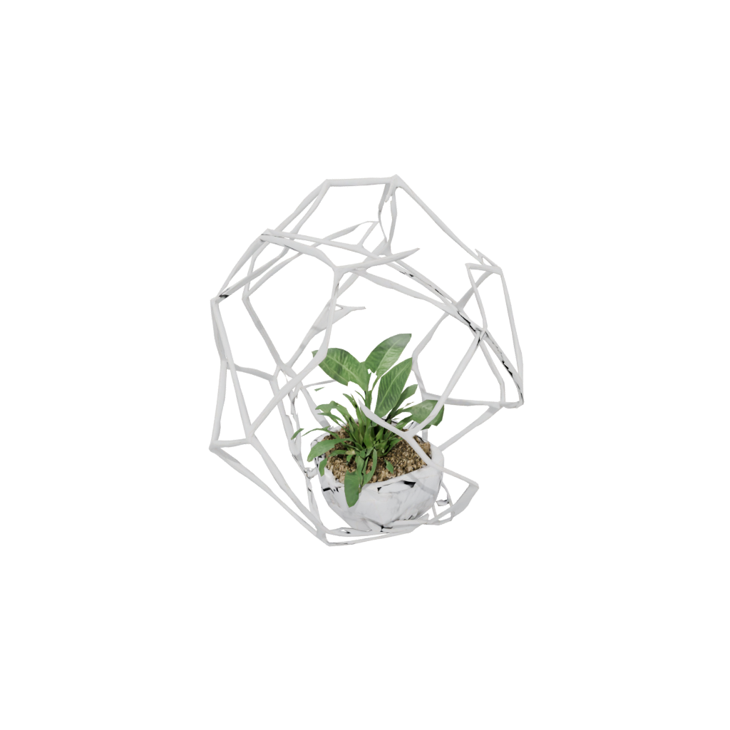 Marble Organic Geometric Terrarium Frame
