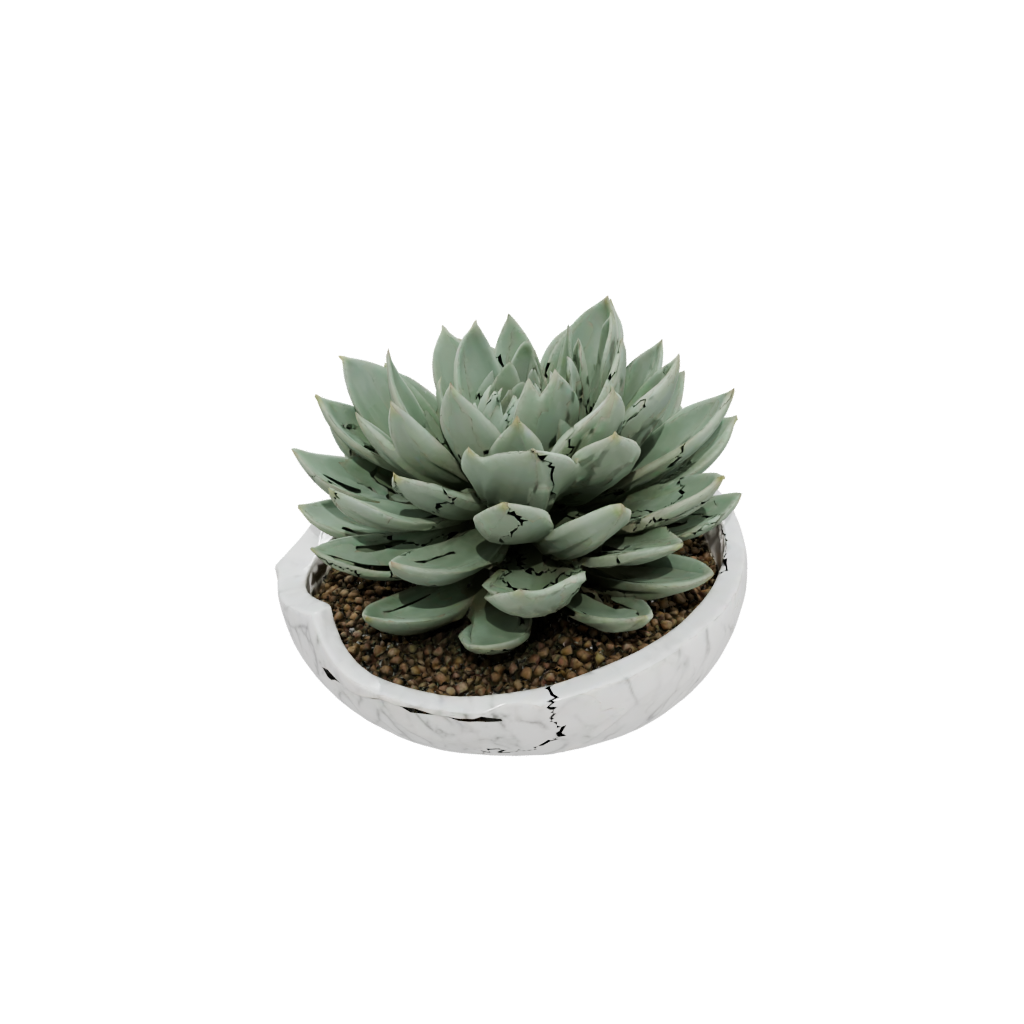Marble Organic Modern Succulent Planter