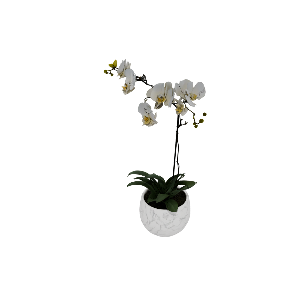 Marble Organic Orchid Pot With Drainage