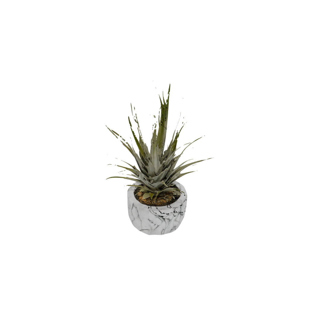 Marble Rustic Air-Plant Holder