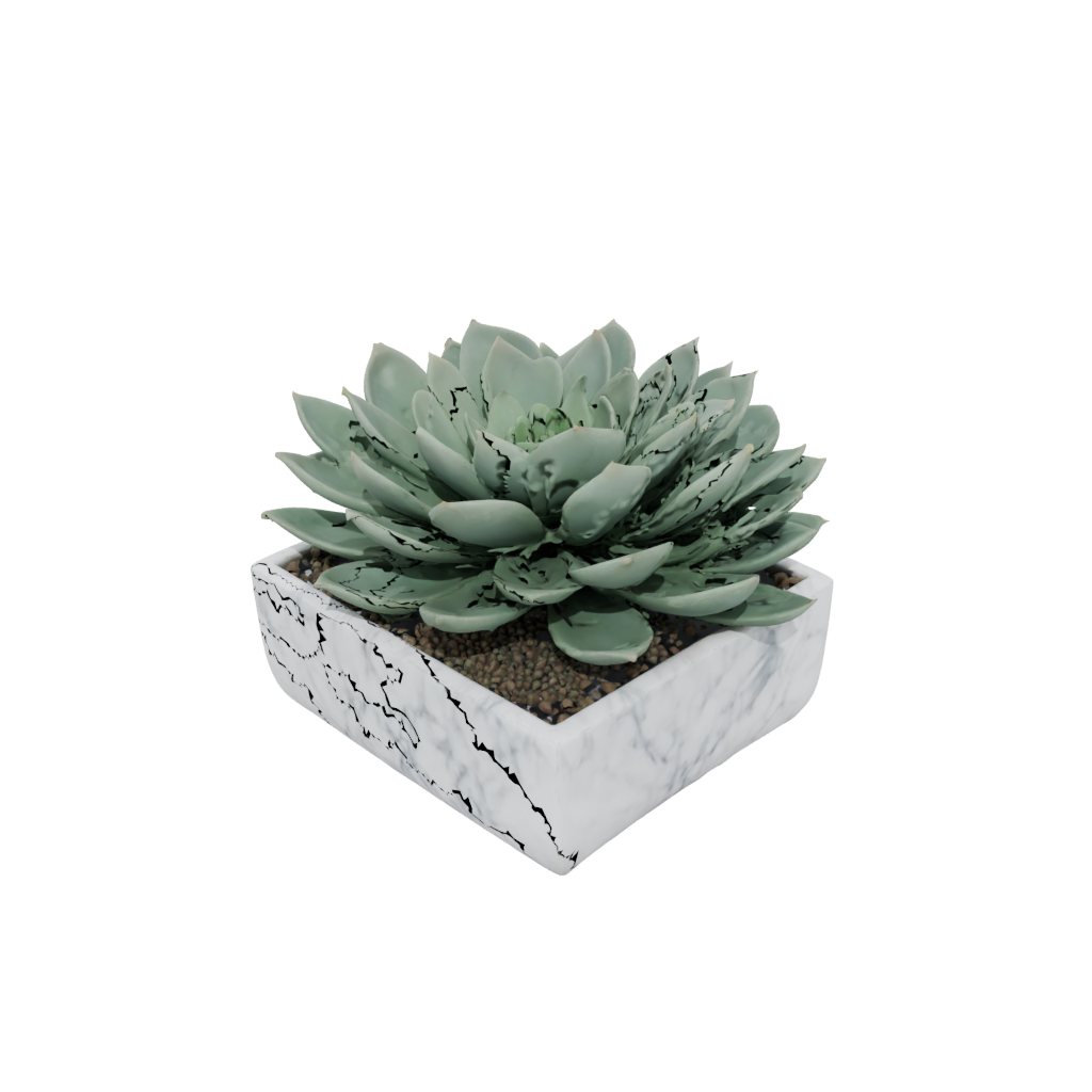 Marble Rustic Modern Succulent Planter