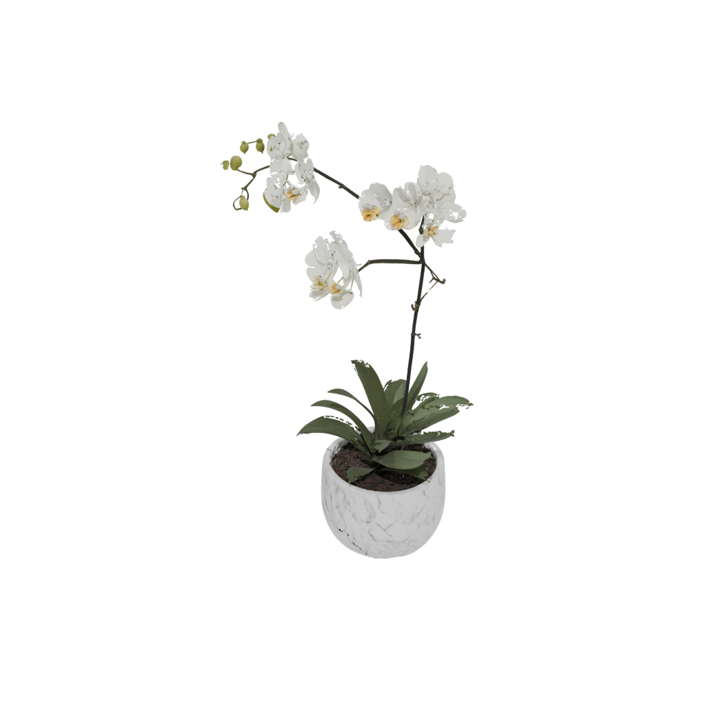 Marble Rustic Orchid Pot With Drainage