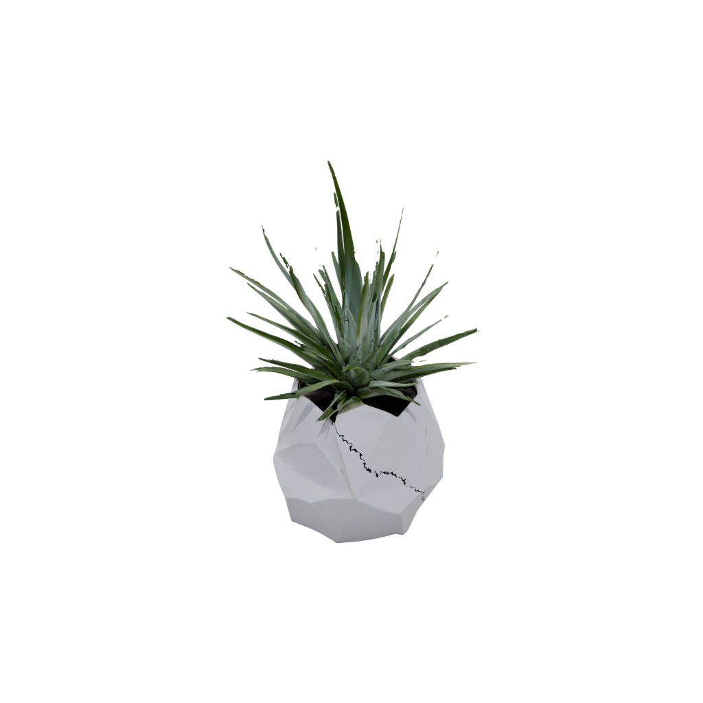Mini Geometric Air-Plant Holder