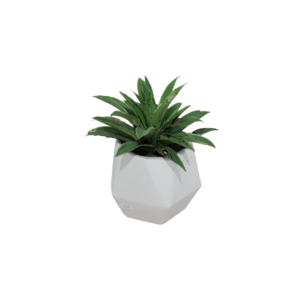 Mini Geometric Hexagon Wall Planter