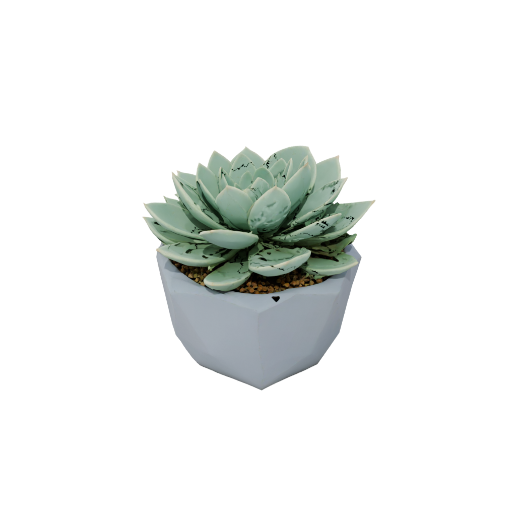 Mini Geometric Modern Succulent Planter