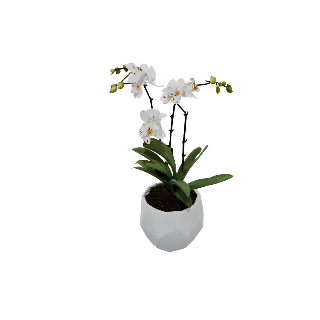 Mini Geometric Orchid Pot With Drainage