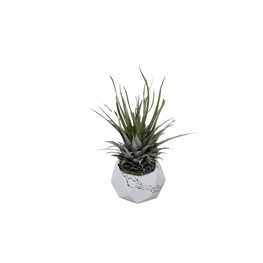 Mini Air-Plant Holder