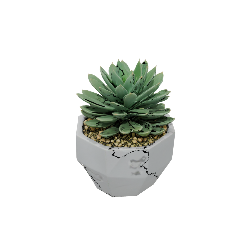 Mini Modern Succulent Planter