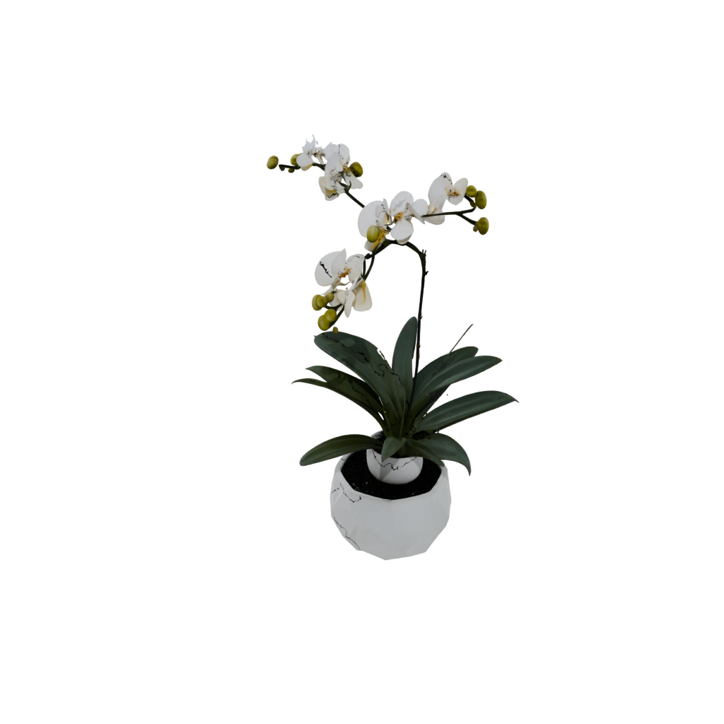 Mini Orchid Pot With Drainage