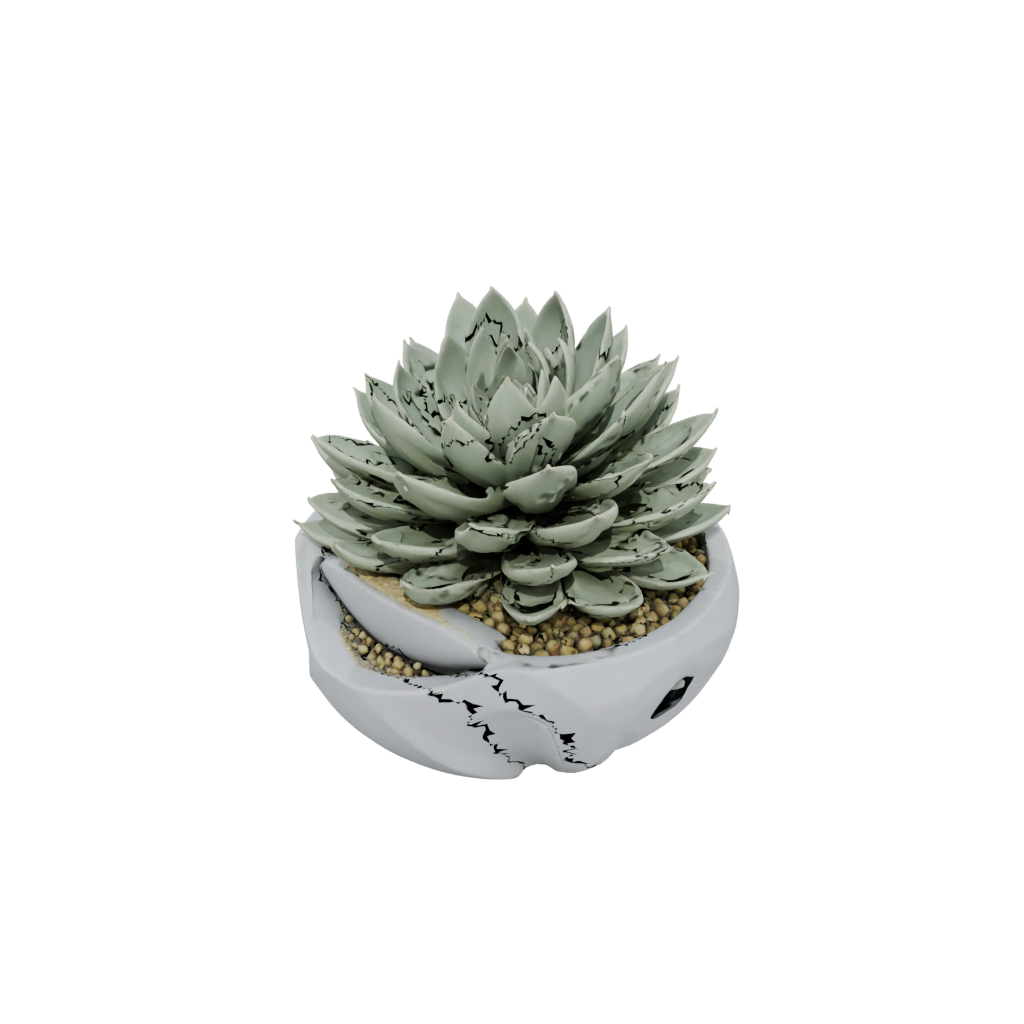 Mini Organic Modern Succulent Planter