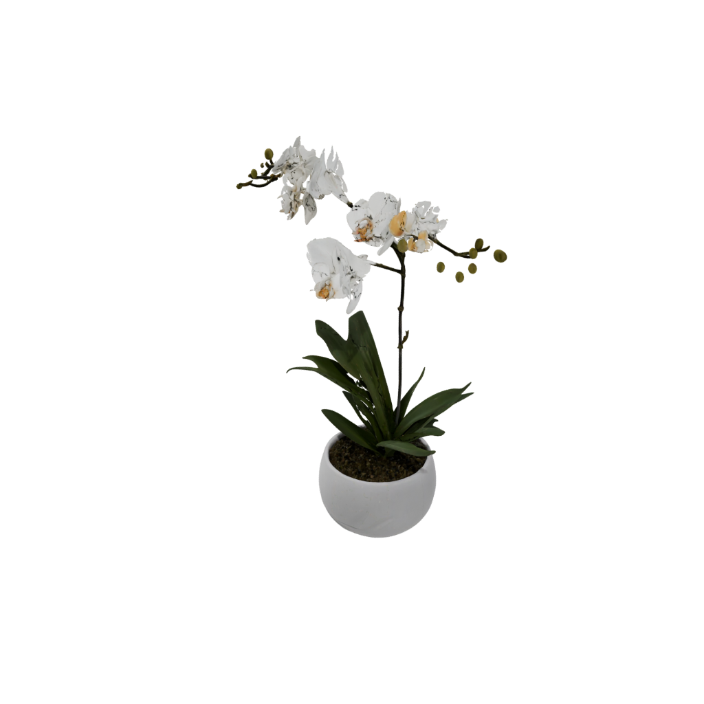 Mini Organic Orchid Pot With Drainage