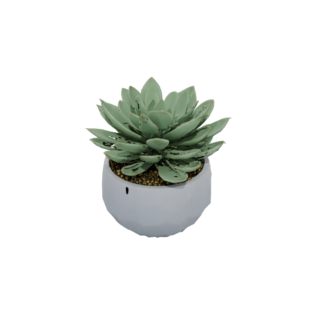 Mini Rustic Modern Succulent Planter