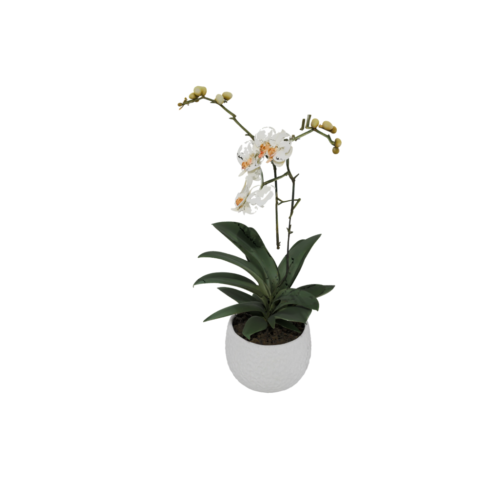 Mini Rustic Orchid Pot With Drainage