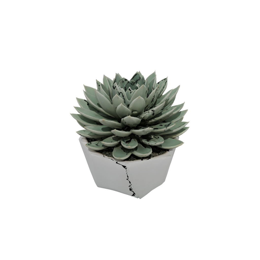 Modern Succulent Planter