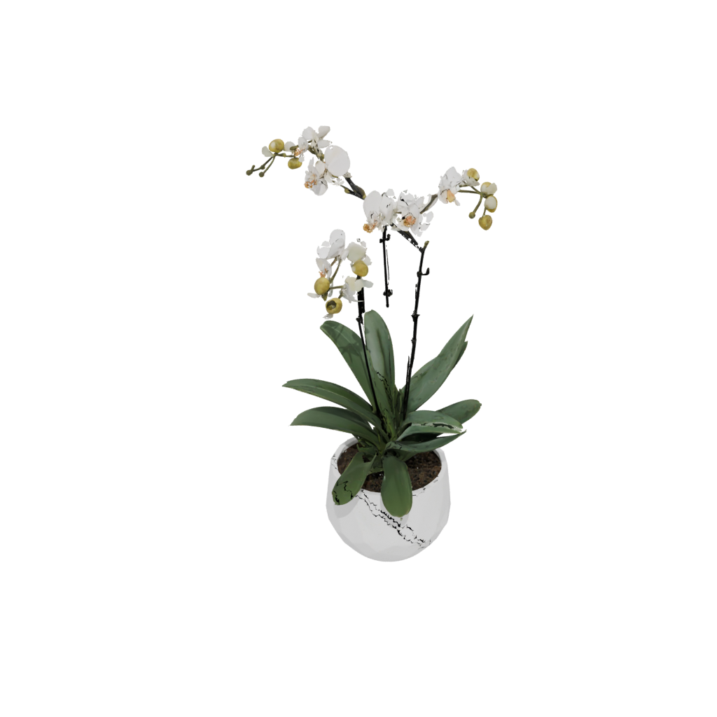 Orchid Pot With Drainage