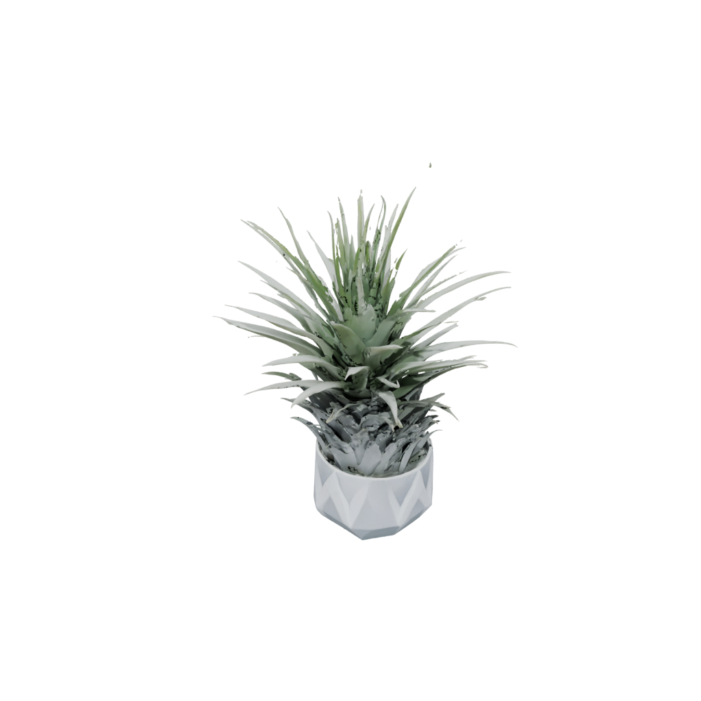 Neon Deco Air-Plant Holder