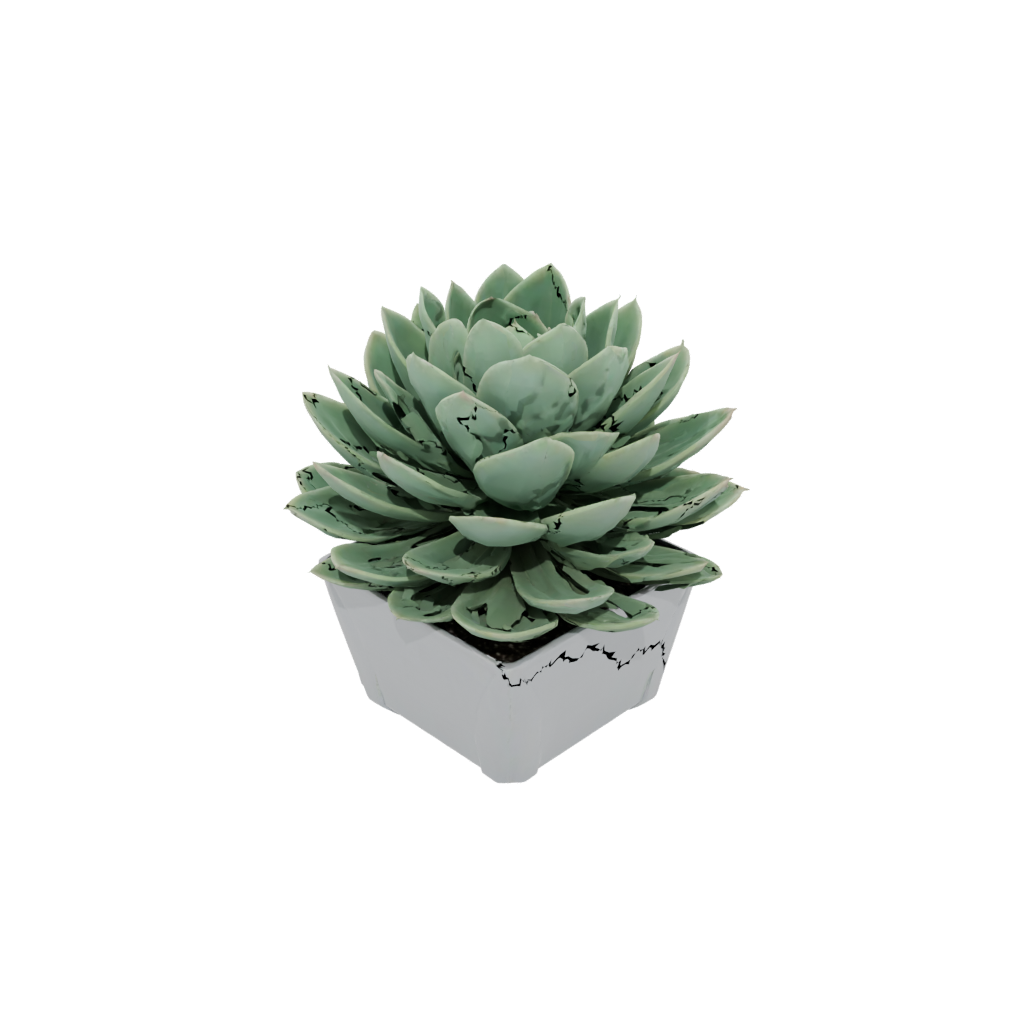 Neon Deco Modern Succulent Planter