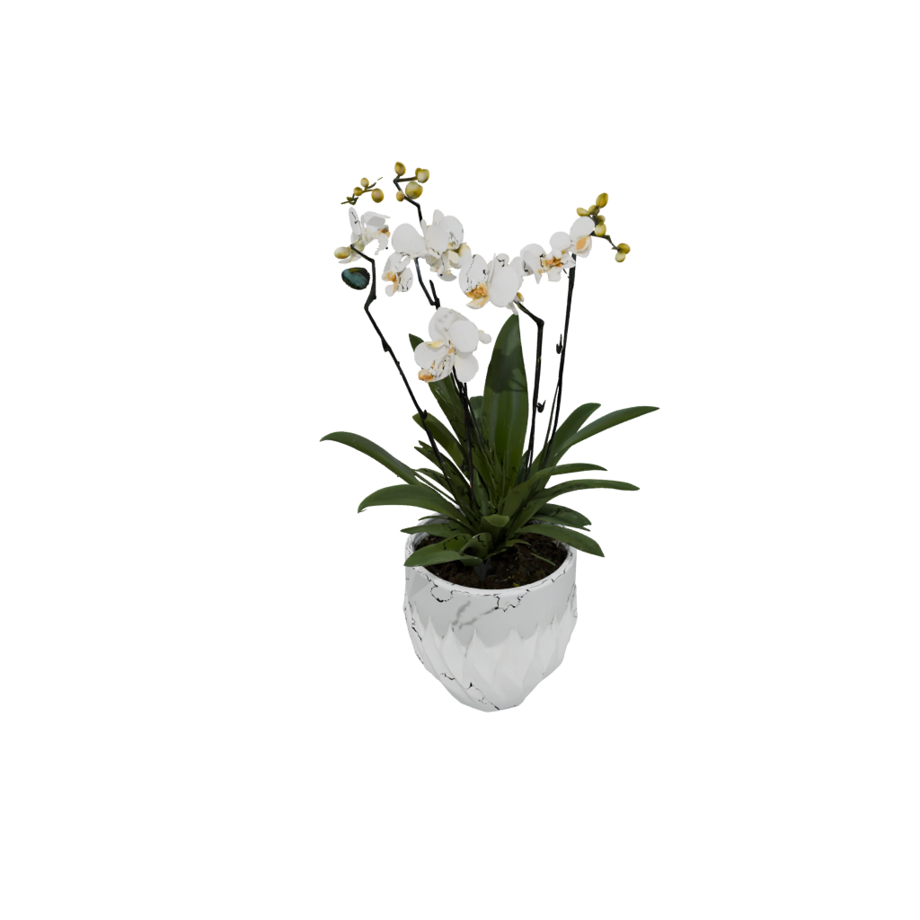 Neon Deco Orchid Pot With Drainage