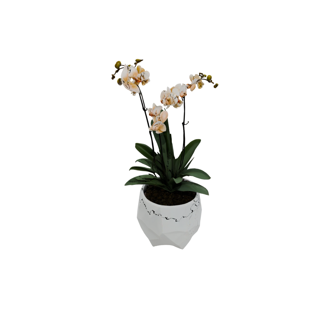 Neon Geometric Orchid Pot With Drainage