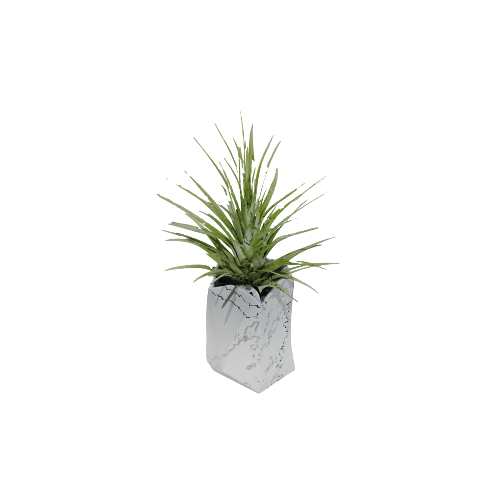 Neon Air-Plant Holder